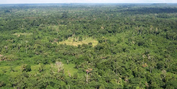 Environmental issues in Liberia