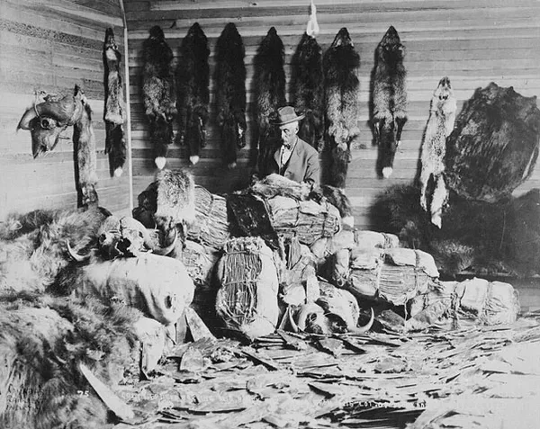 Fur trade