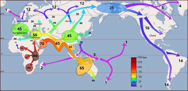 Globalization
