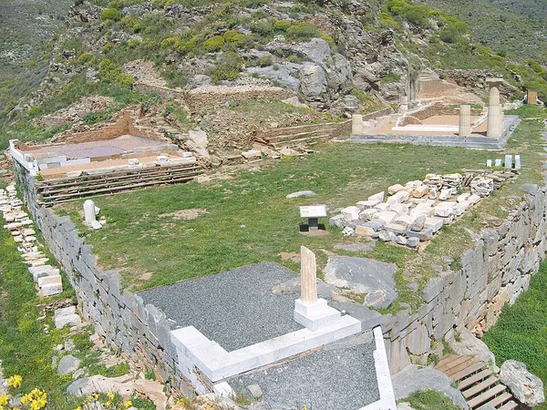 Carthaea