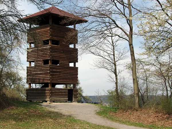 Chartaque