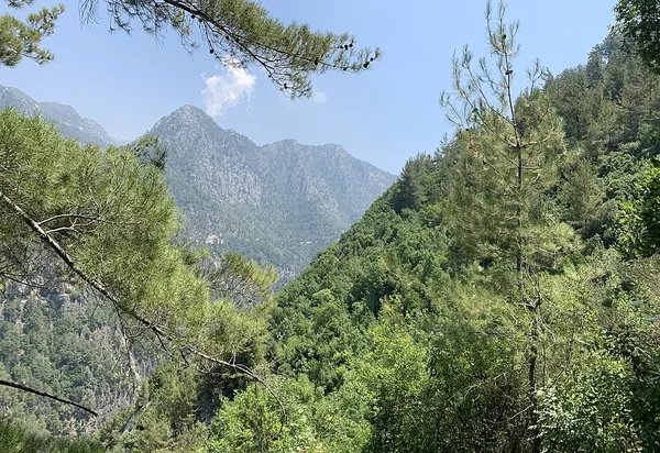 Jabal Moussa Biosphere Reserve
