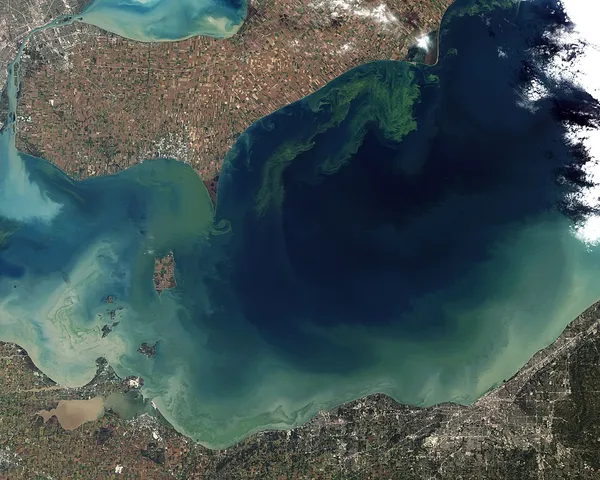 Algal bloom