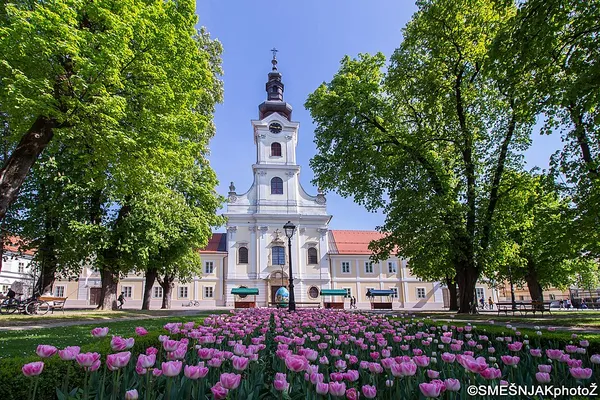 Bjelovar Cathedral