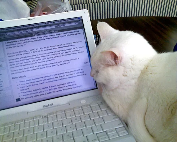 Cats and the Internet