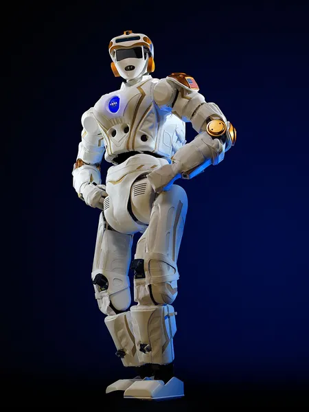 Humanoid robot