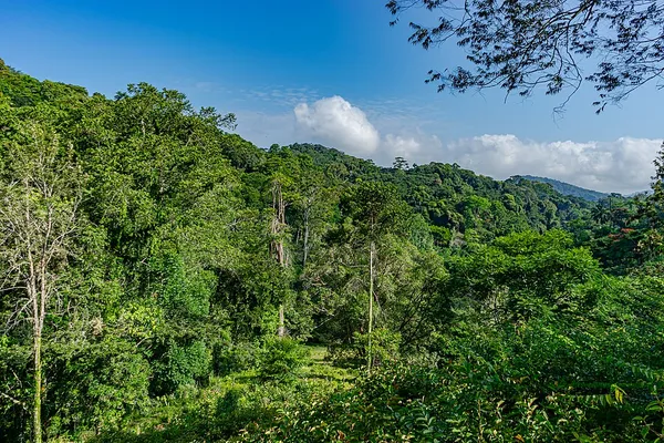 Amani Nature Reserve