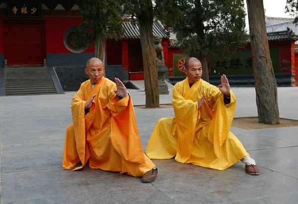 Chinese martial arts