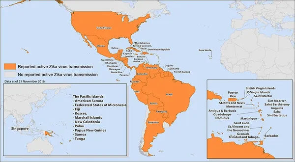 2015–16 Zika virus epidemic
