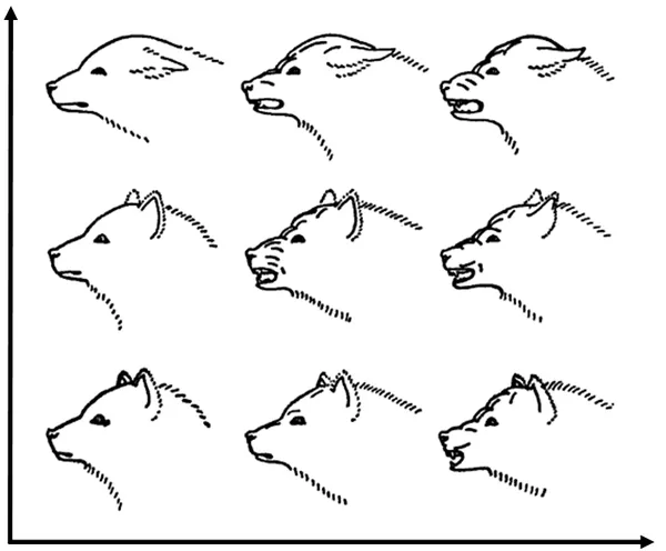 Grimace scale