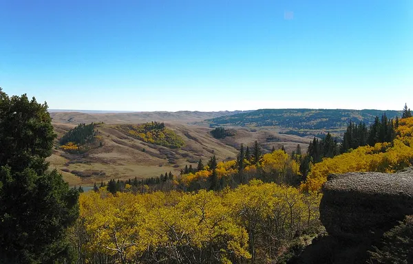 Cypress Hills (Canada)