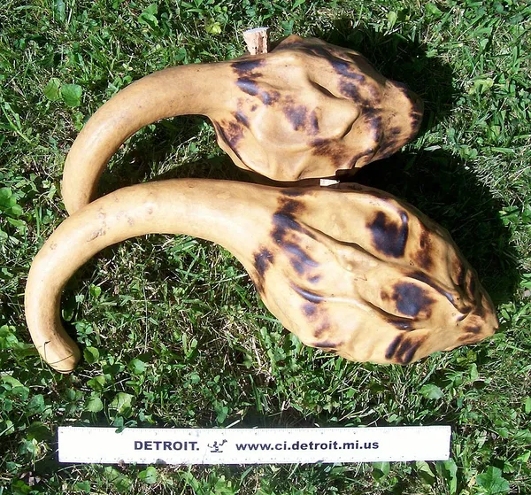 Hosho (instrument)