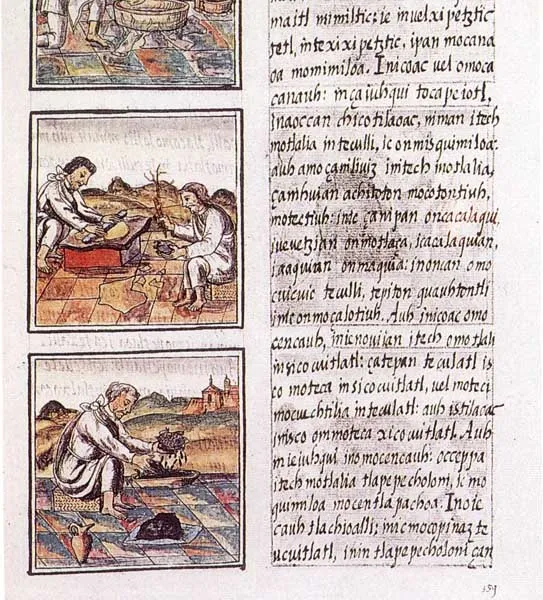 Florentine Codex