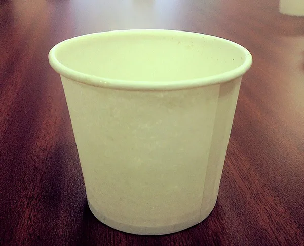 Disposable cup