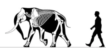 Biological rules