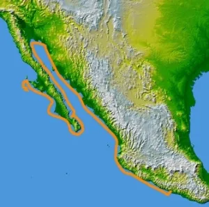 Francisco de Ulloa