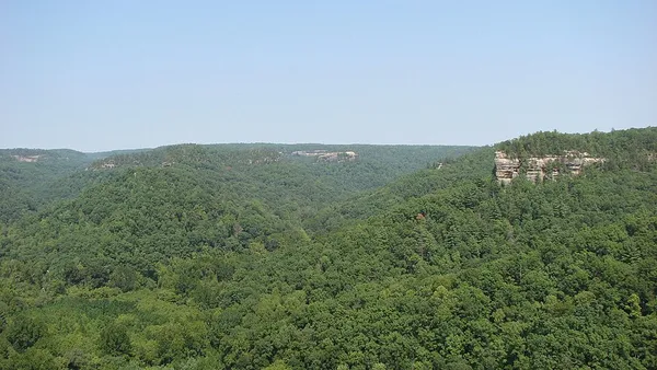 Appalachian mixed mesophytic forests