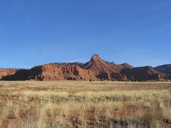 Cane Beds, Arizona