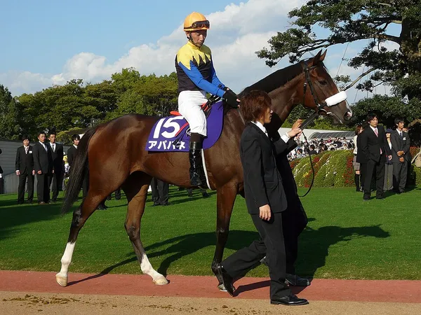 Apapane (horse)