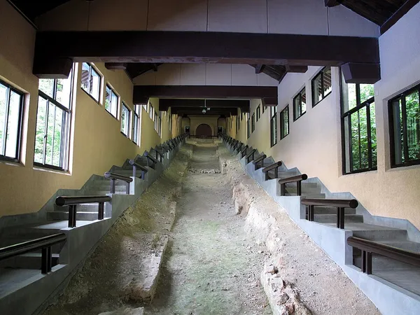 Dragon kiln