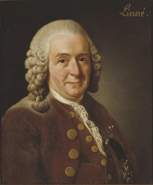 Carl Linnaeus