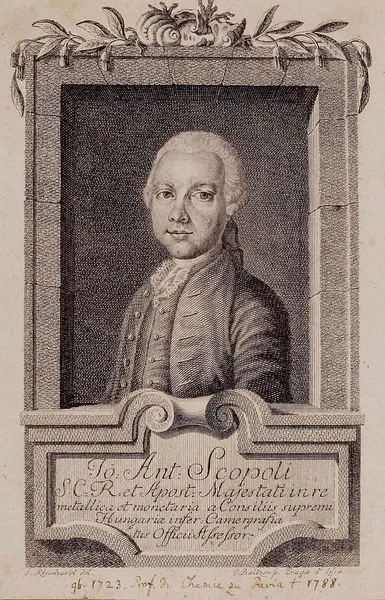 Giovanni Antonio Scopoli