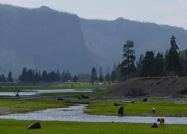 Greater Yellowstone Ecosystem