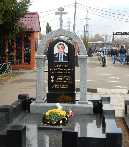 Assassination of Andrei Karlov