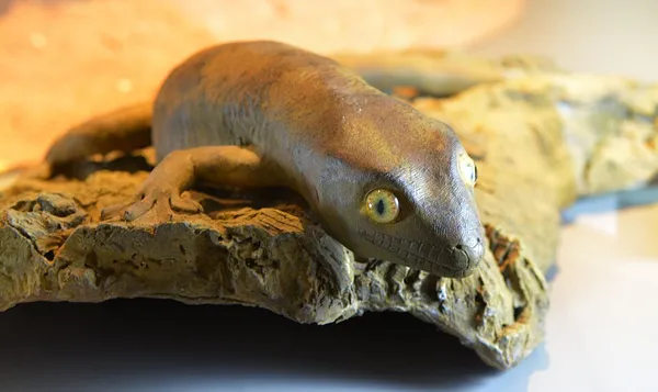 Gigarcanum