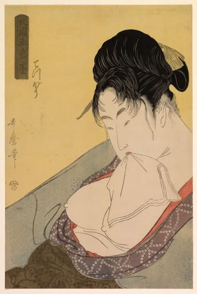 Hokkoku Goshiki-zumi