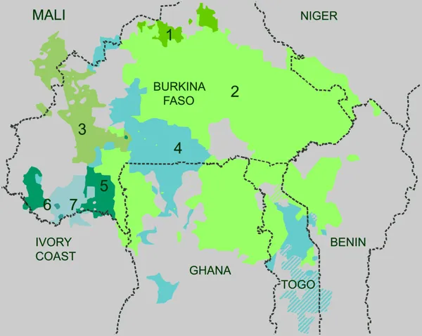 Gur languages