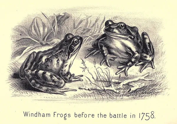 Battle of the Frogs
