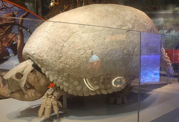 Glyptotherium