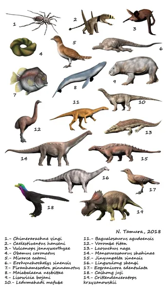 2018 in paleontology