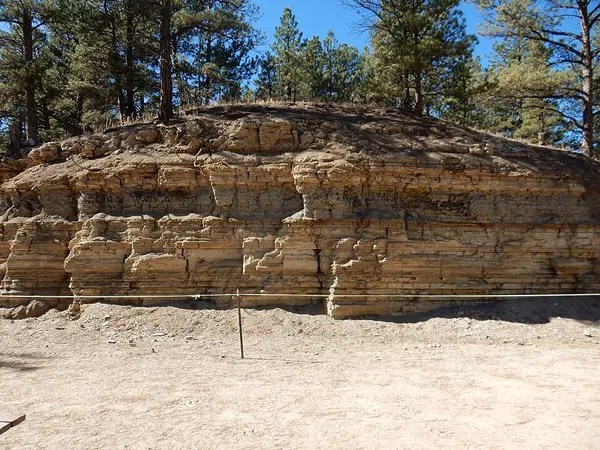 Florissant Formation