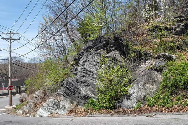 Bellingham Conglomerate