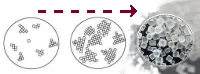 Fractional crystallization (geology)