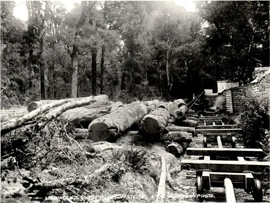 Brownlee Tramway