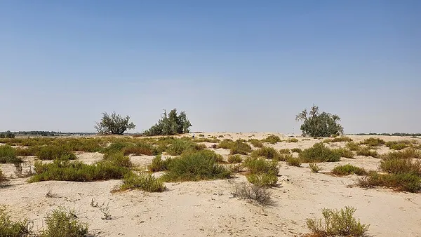 Ain Qannas