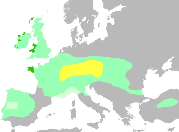 Celtic languages