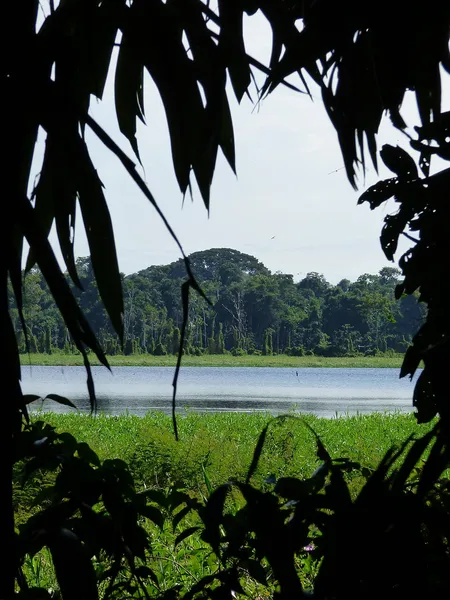 Aquicuana Reserve