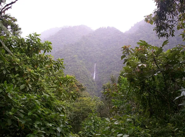 Conservation in Costa Rica