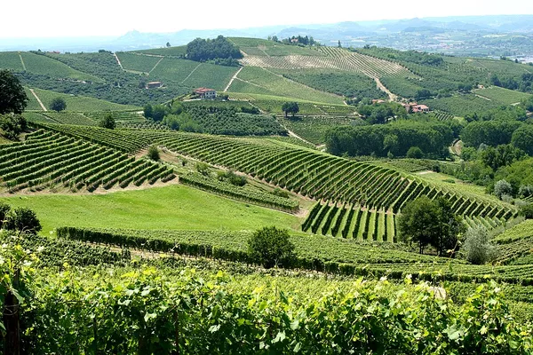 Agriculture in Italy