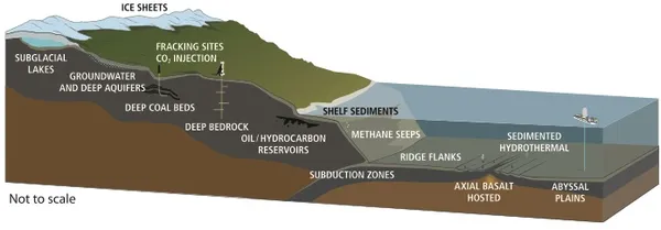 Deep biosphere