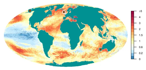 Human impact on marine life