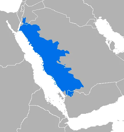 Hejazi Arabic