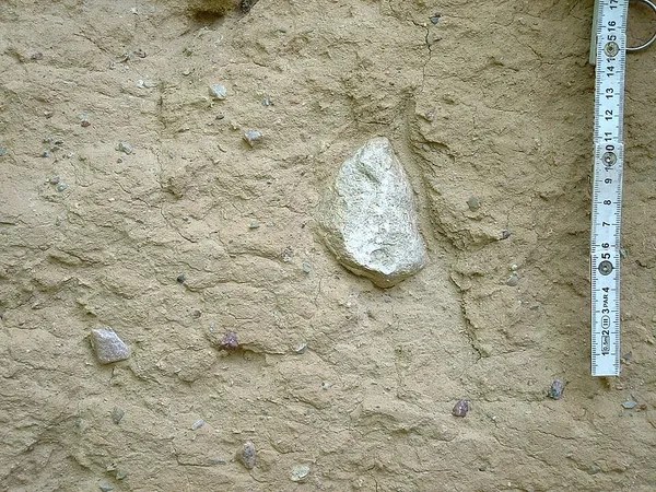 Diamictite