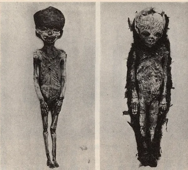 317a and 317b mummies
