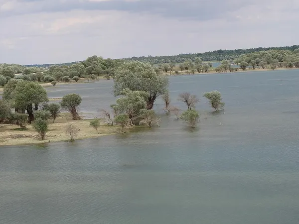Forêt d'Orient National Nature Reserve
