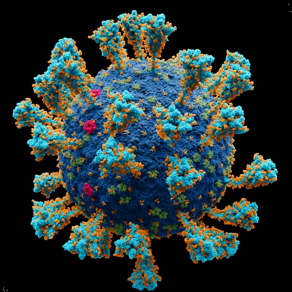 COVID-19 drug development